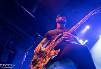 Devour the day - Photo by Roli