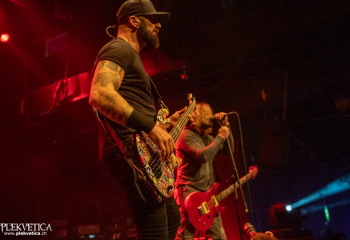 Devour the day - Photo by Roli