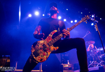 Devour the day - Photo by Roli