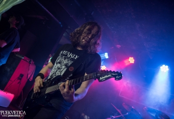 Disgusting Fist - Photo By Marc