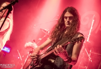 Dizzy Fox - Photo By Dänu