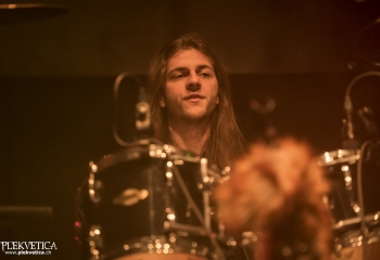 Dizzy Fox - Photo By Dänu