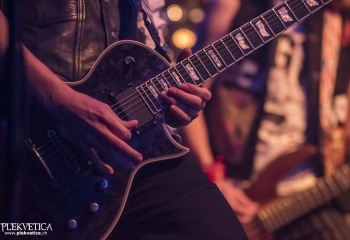 Dizzy Fox - Photo By Dänu