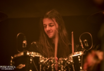 Dizzy Fox - Photo By Dänu