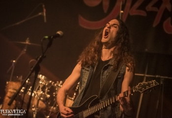 Dizzy Fox - Photo By Dänu