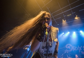 Dizzy Fox - Photo By Dänu