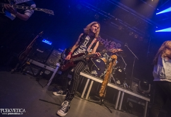 Dizzy Fox - Photo By Dänu