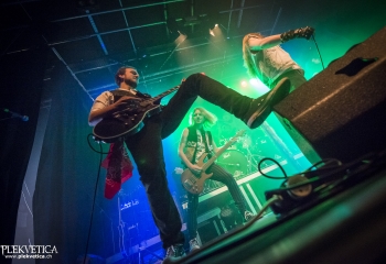 Dizzy Fox - Photo By Dänu