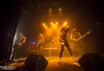 Dizzy Fox - Photo By Dänu