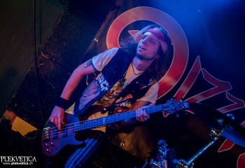 Dizzy Fox - Photo By Marc