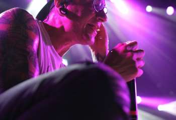 Dreamshade -  Photo By Peti