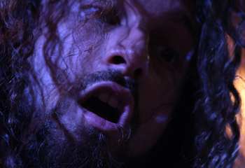 Dreamshade -  Photo By Peti