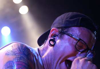 Dreamshade -  Photo By Peti