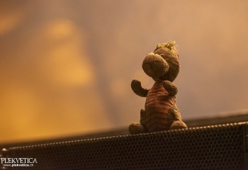 Eluveitie - Photo By Dänu