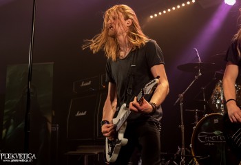 Emerald - Photo by Nati