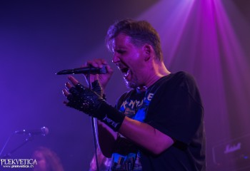 Emerald - Photo by Nati