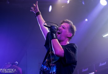 Emerald - Photo by Nati