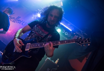 Expellow - Photo By Marc