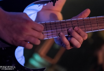 Expellow - Photo By Marc