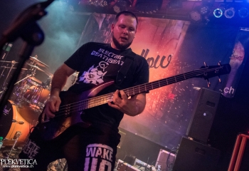 Expellow - Photo By Marc