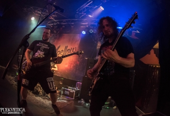 Expellow - Photo By Marc