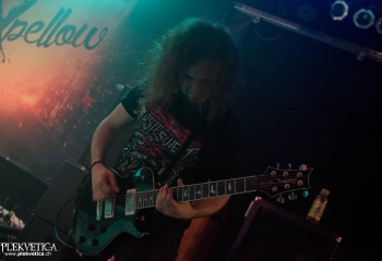 Expellow - Photo By Marc