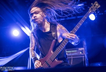 Fallcie - Photo By Dänu