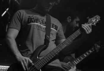 Fat Dog - Photo By Peti