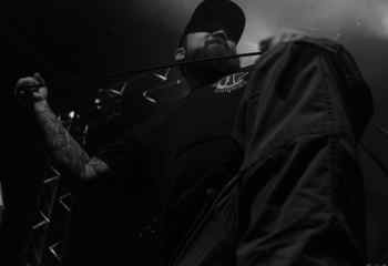 Fat Dog - Photo By Peti