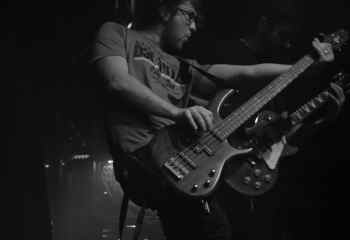 Fat Dog - Photo By Peti