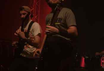 Fat Dog - Photo By Peti