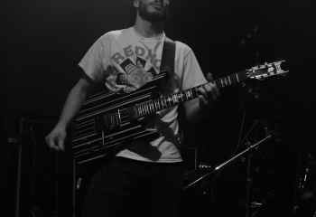 Fat Dog - Photo By Peti