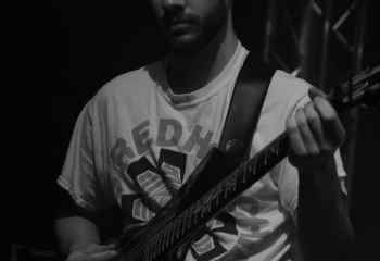 Fat Dog - Photo By Peti