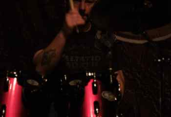 Fat Dog - Photo By Peti