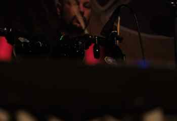 Fat Dog - Photo By Peti