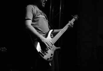 Fat Dog - Photo By Peti