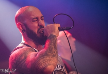 Final Cut - Photo By Dänu