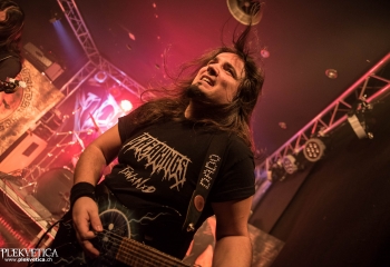 Gonoreas - Photo By Marc