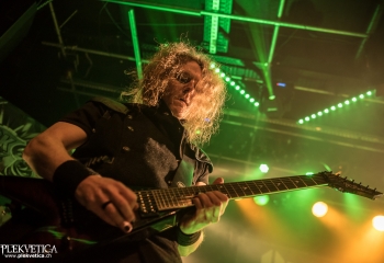 Hammer King - Photo by Marc