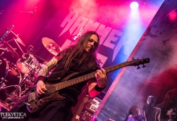 Hammer King - Photo by Marc