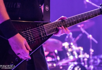 Hammer King - Photo by Marc