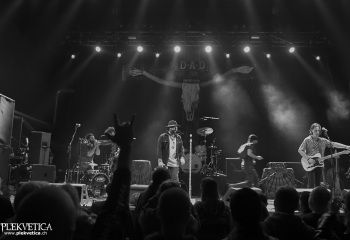 Hangarvain - Photo By Pat