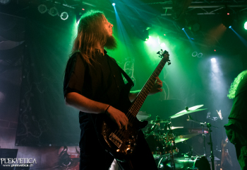 Hedera - Photo by Nati