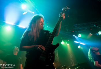 Hedera - Photo by Nati