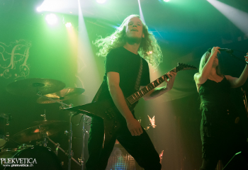 Hedera - Photo by Nati