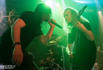 Hedera - Photo by Nati