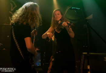 Hedera - Photo by Nati