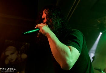 Hedera - Photo by Nati