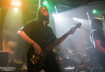 Hedera - Photo by Nati