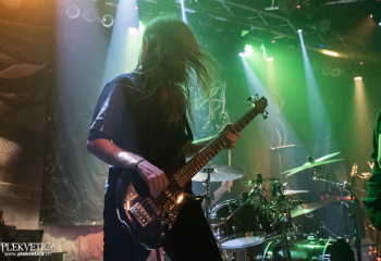 Hedera - Photo by Nati